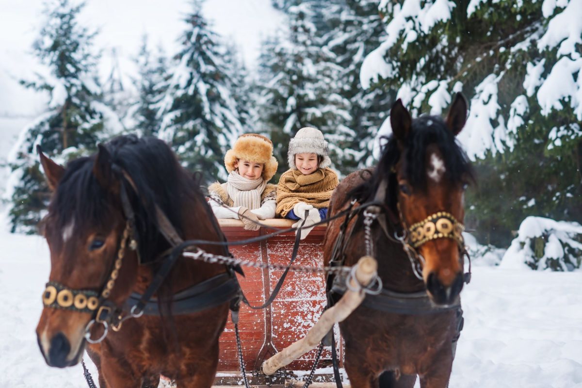 sleigh ride near Sunriver, OR